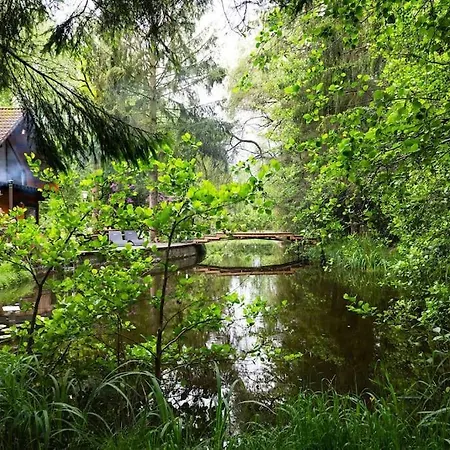 Zencabin - Luxe En Wellness In De Semesterbostad