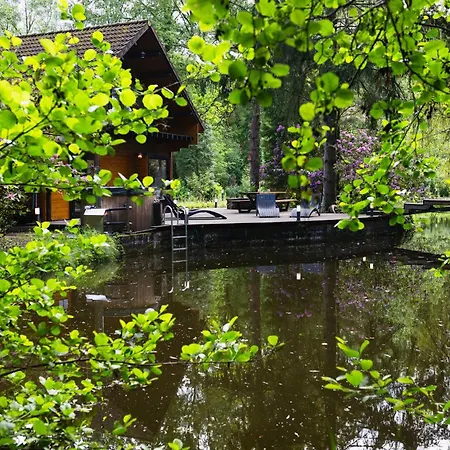 Zencabin - Luxe En Wellness In De Hulshout